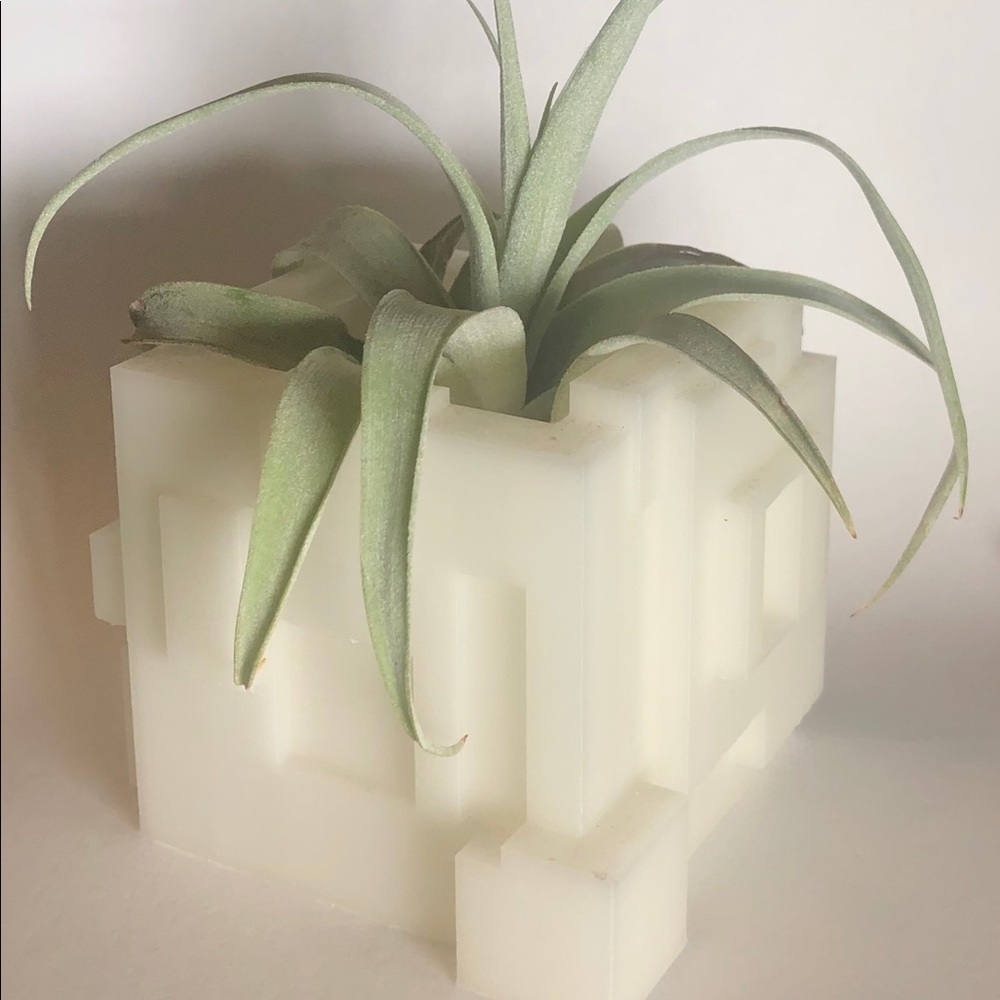 Air Plant modern holder Terrarium Container